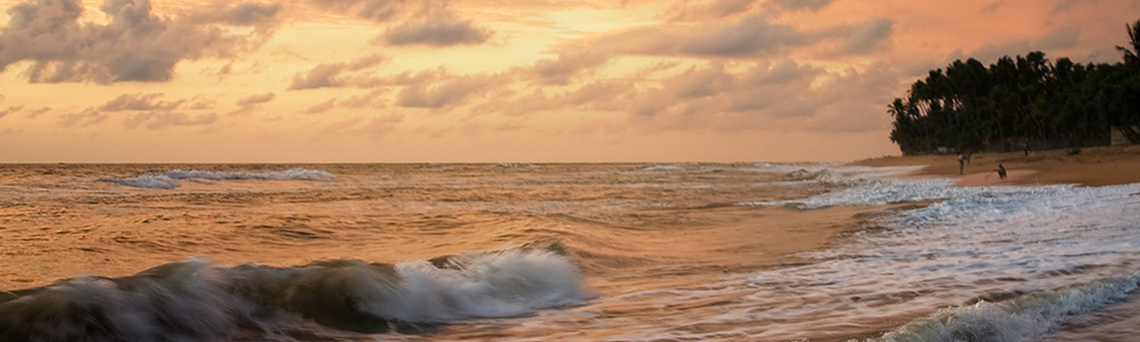 View of Beach during Sunset