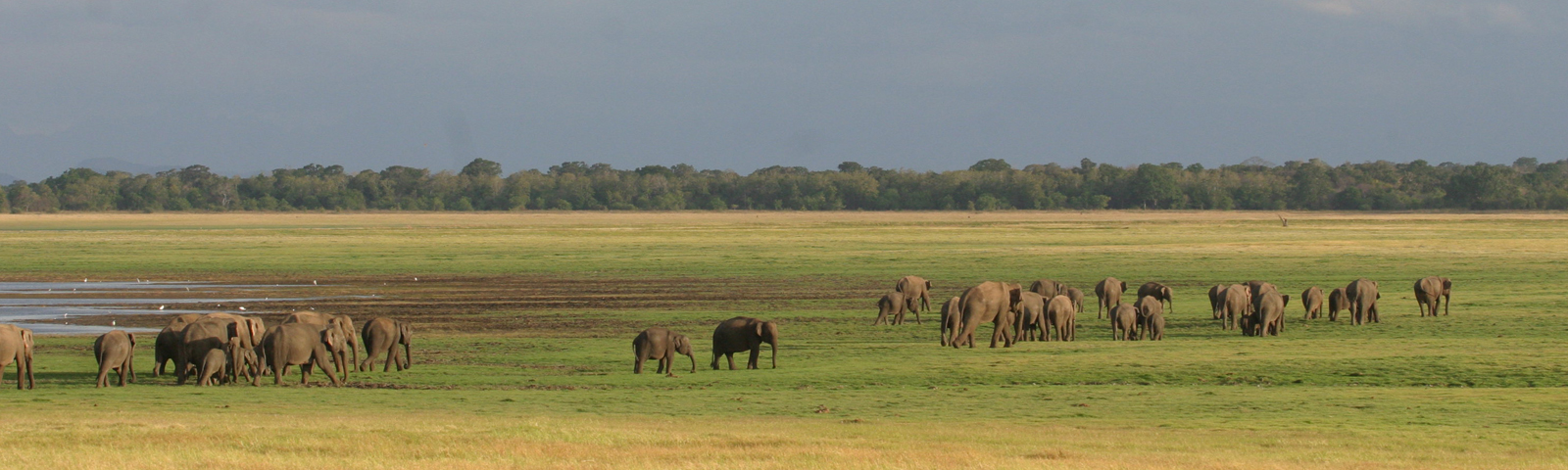 Wildlife Park in Sri Lanka