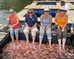 Fish Spa in Sri Lanka