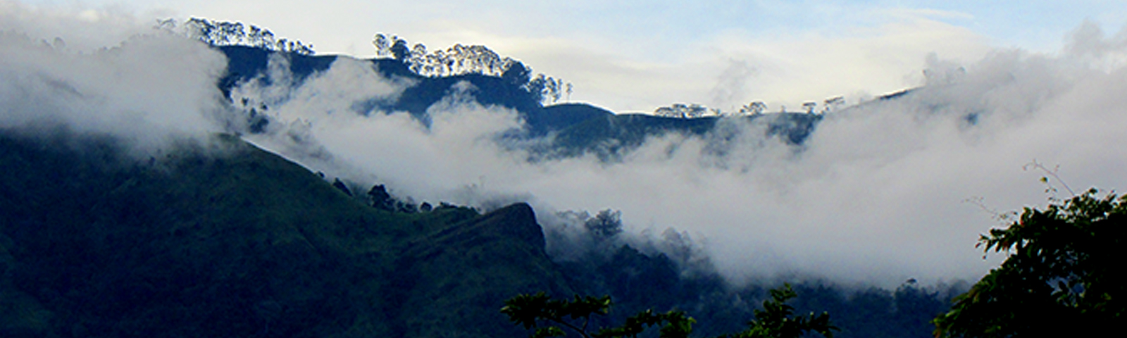 Jetwing Kaduruketha